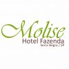 Logo-Hotel-Fazenda-Molise-Serra-Negra-SP